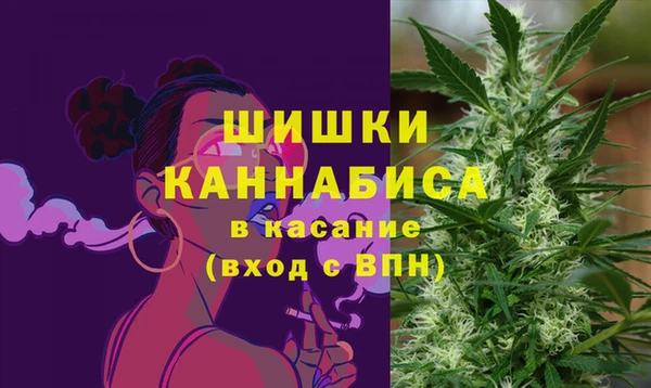 шишки Кукмор