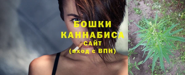 шишки Кукмор